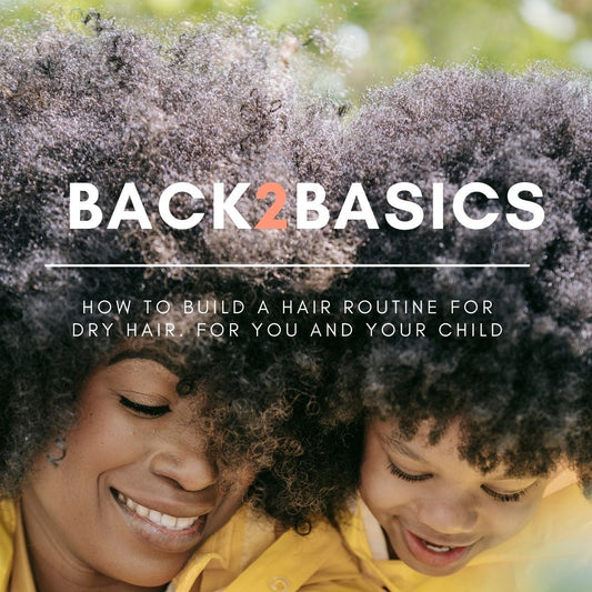 Back2Basics Ebook - How To Build A Hair Routine For Dry Hair